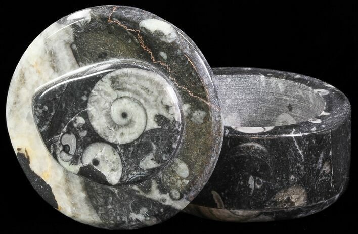 Small Fossil Goniatite Jar (Black) - Stoneware #66578